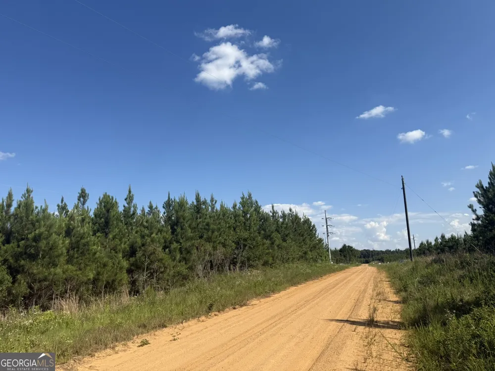 009 George Milling RD Cuthbert, GA 39840