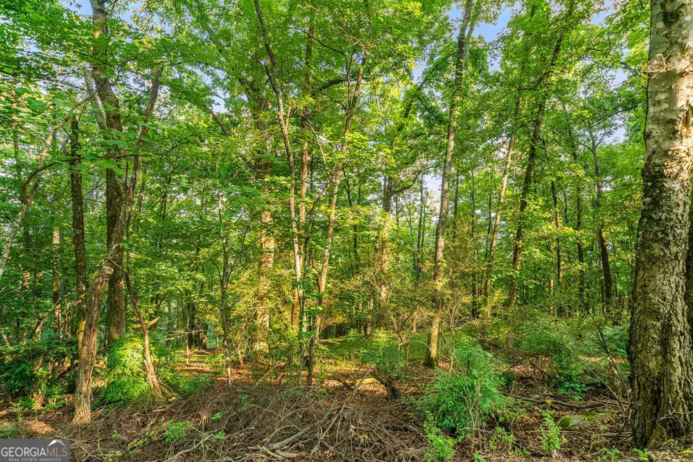 0 Mount Alto RD SW Rome, GA 30165