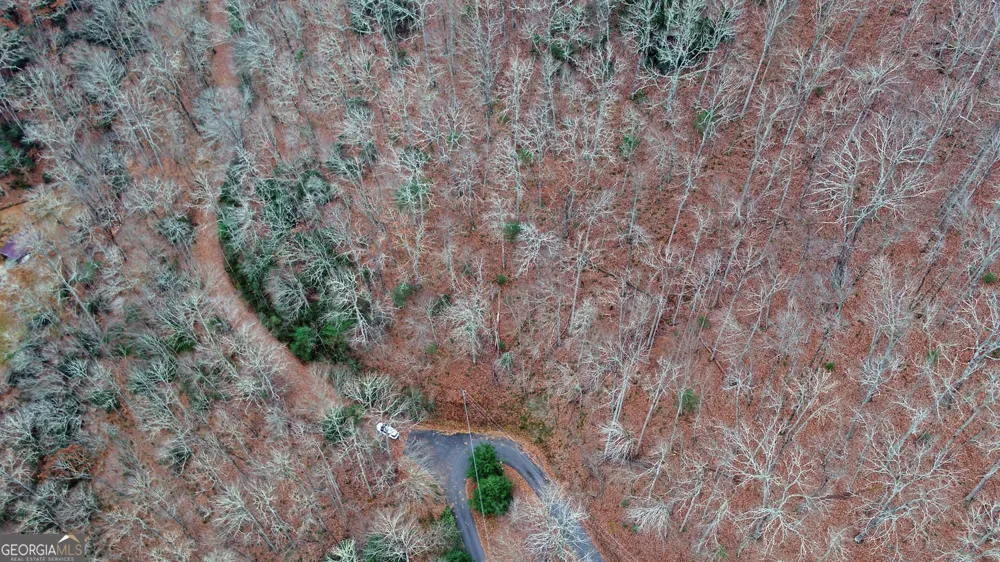 333 Favor Lane Rabun Gap, GA 30568