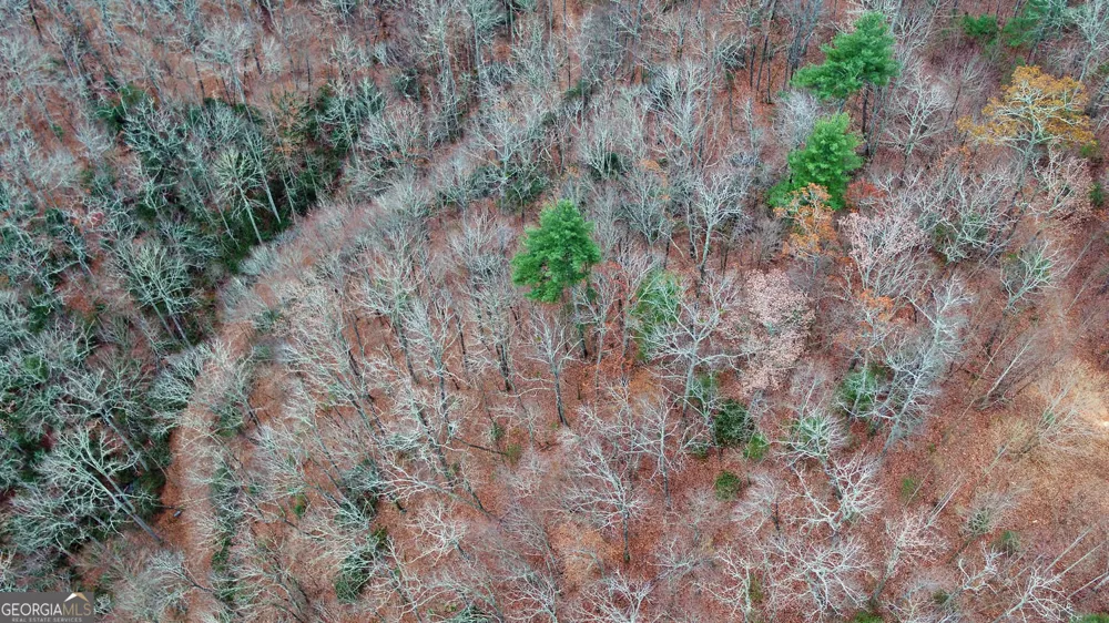 333 Favor Lane Rabun Gap, GA 30568