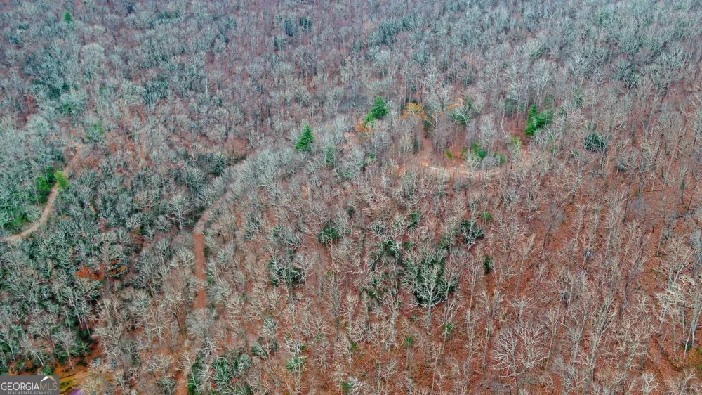 333 Favor Lane Rabun Gap, GA 30568