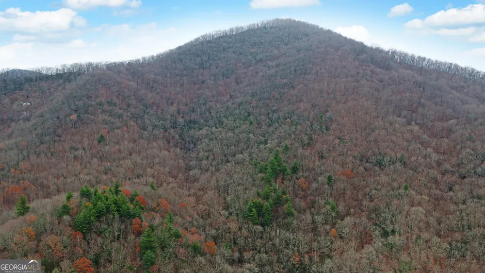 333 Favor Lane Rabun Gap, GA 30568