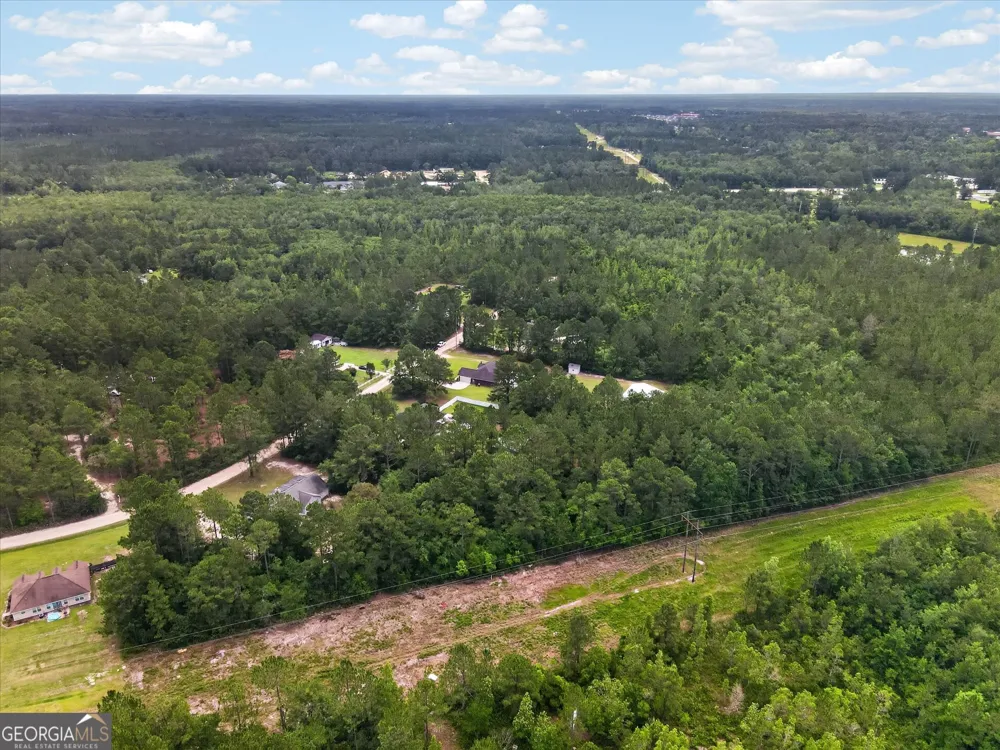 176 NE Cathy Lane Ludowici, GA 31316