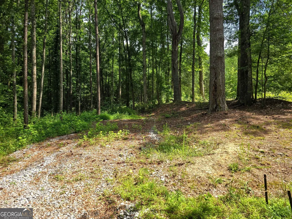 5 LOTS Rome St. & Driver ST Temple, GA 30179