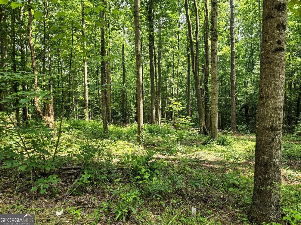5 LOTS Rome St. & Driver ST Temple, GA 30179