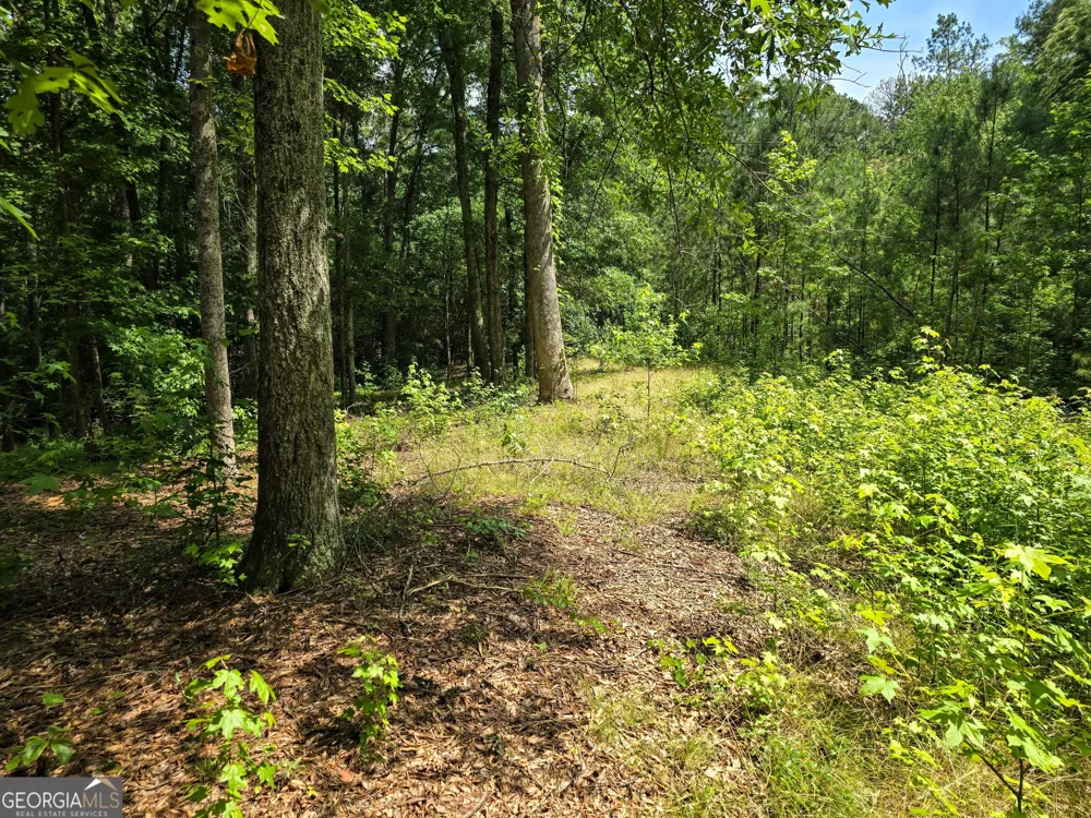 5 LOTS Rome St. & Driver ST Temple, GA 30179