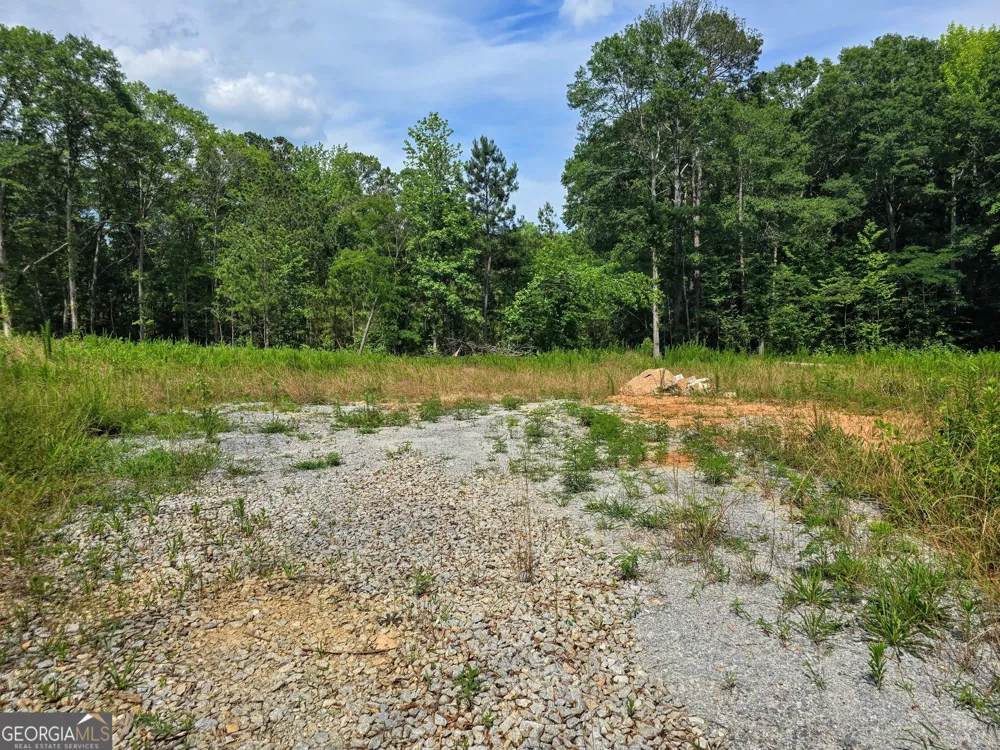 5 LOTS Rome St. & Driver ST Temple, GA 30179