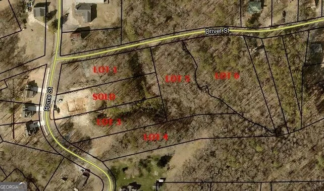 5 LOTS Rome St. & Driver ST Temple, GA 30179