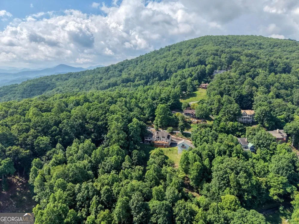 880 Locust TRL Hiawassee, GA 30546