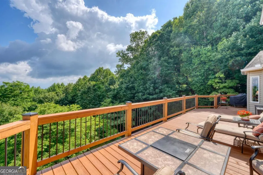 880 Locust TRL Hiawassee, GA 30546