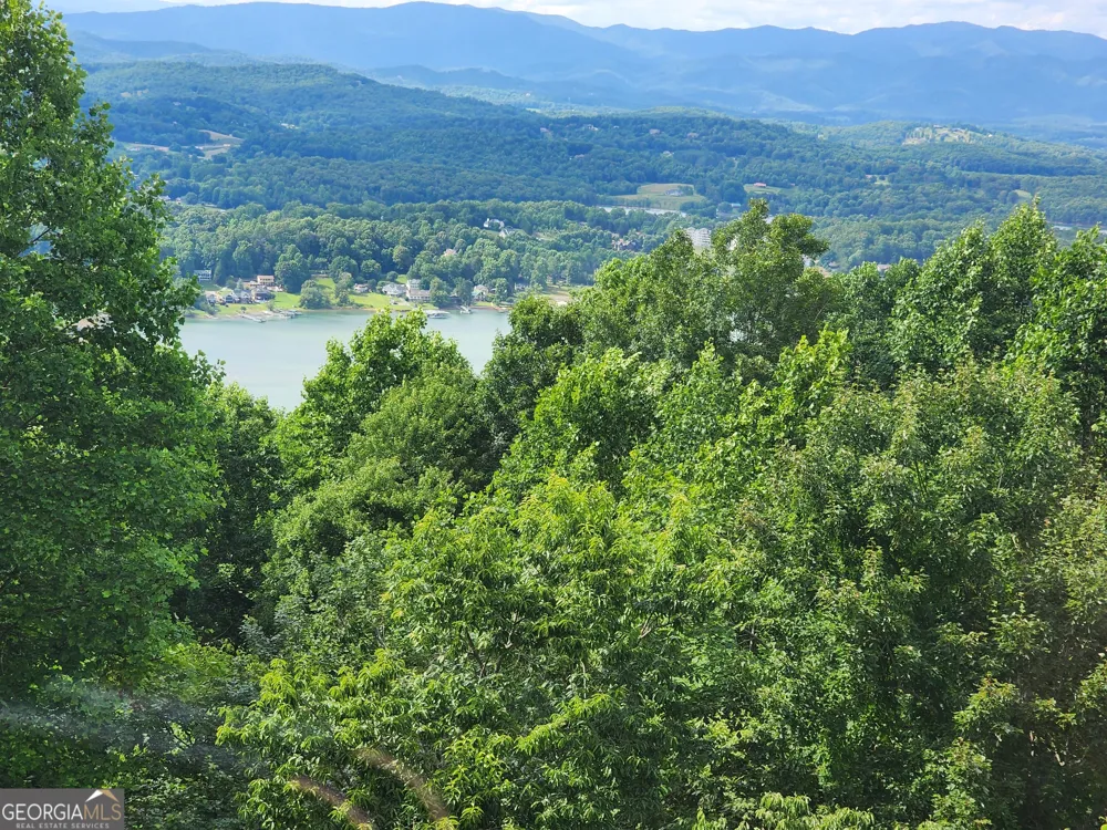 880 Locust TRL Hiawassee, GA 30546