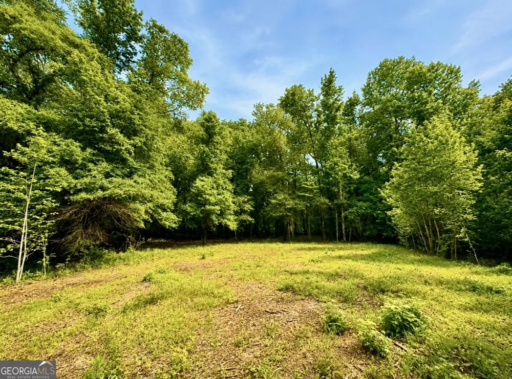 0 Rocky Creek RD Thomaston, GA 30286