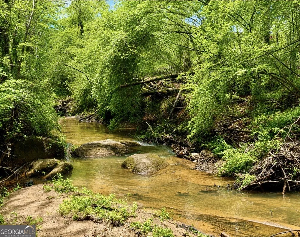 0 Rocky Creek RD Thomaston, GA 30286