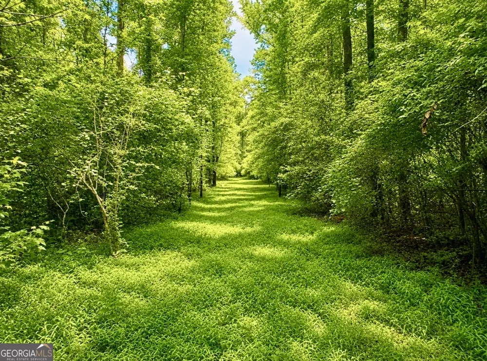 0 Rocky Creek RD Thomaston, GA 30286