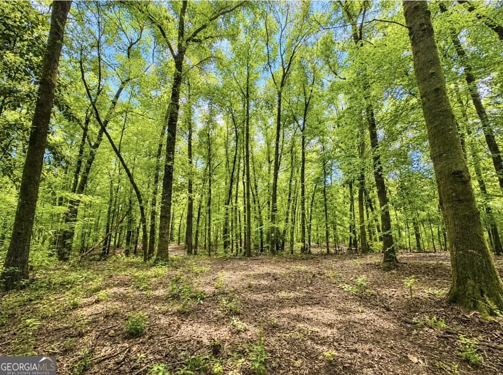0 Rocky Creek RD Thomaston, GA 30286