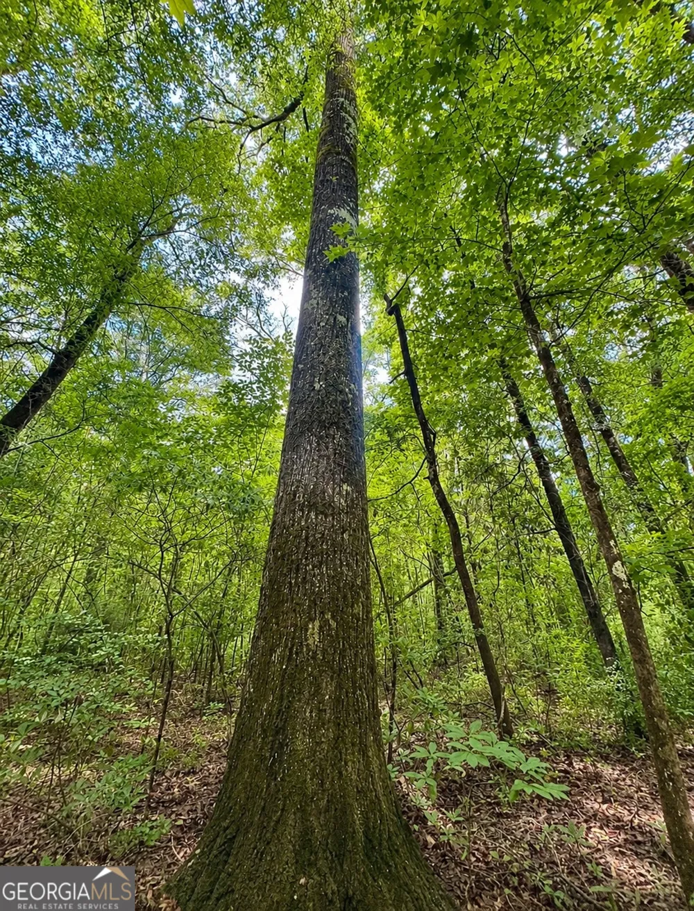 0 Rocky Creek RD Thomaston, GA 30286
