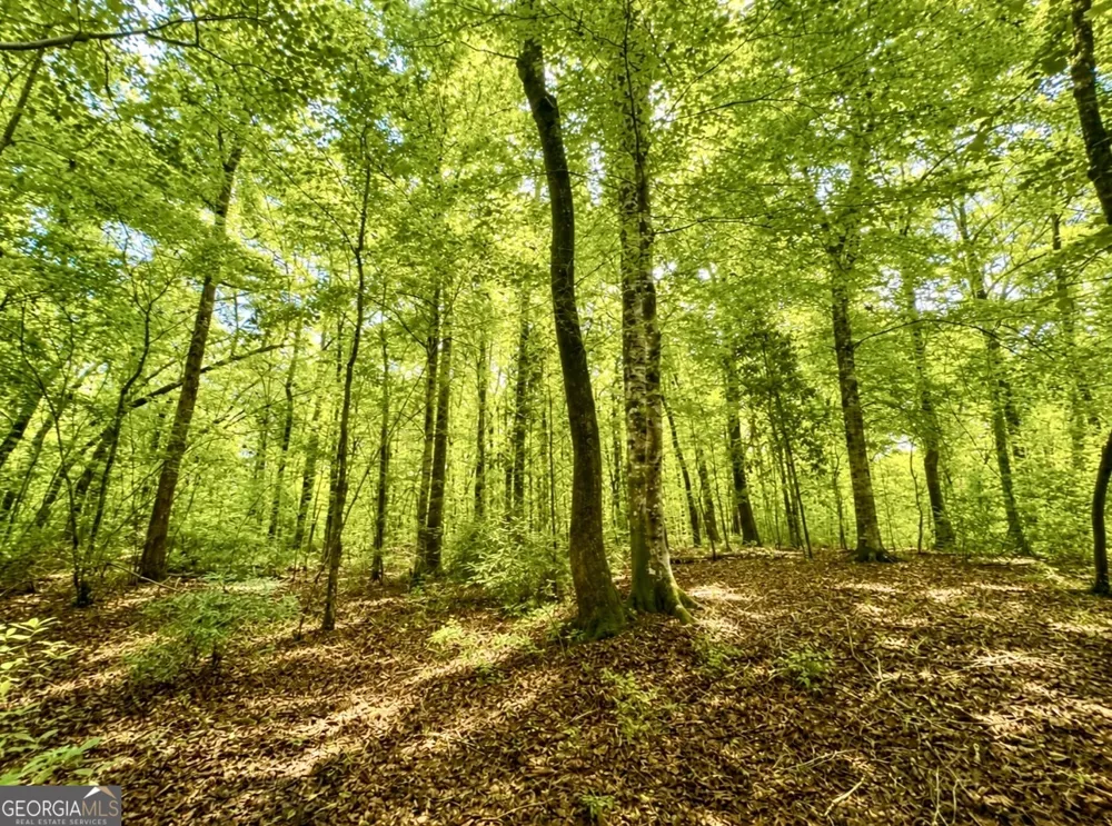 0 Rocky Creek RD Thomaston, GA 30286