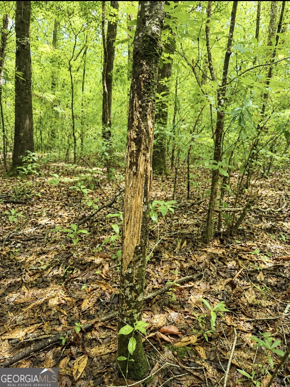 0 Rocky Creek RD Thomaston, GA 30286