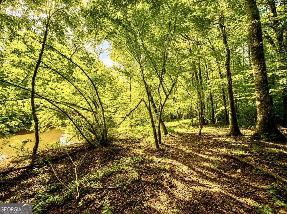 0 Rocky Creek RD Thomaston, GA 30286