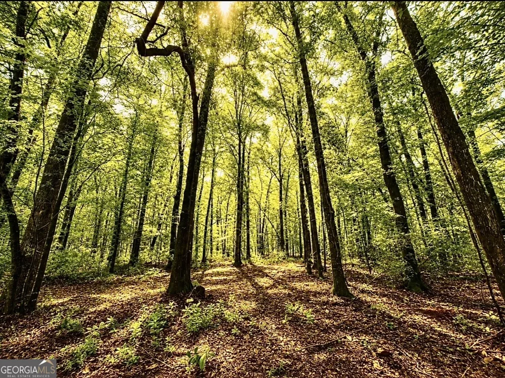 0 Rocky Creek RD Thomaston, GA 30286