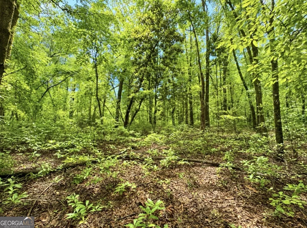 0 Rocky Creek RD Thomaston, GA 30286