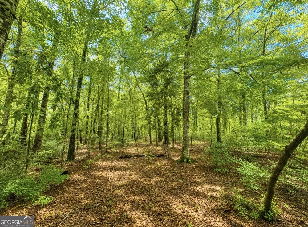 0 Rocky Creek RD Thomaston, GA 30286