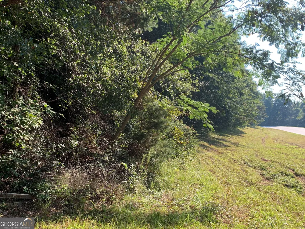5.10 ACRES Hwy 123 Toccoa, GA 30577
