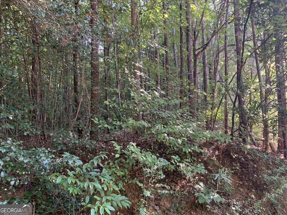 5.10 ACRES Hwy 123 Toccoa, GA 30577
