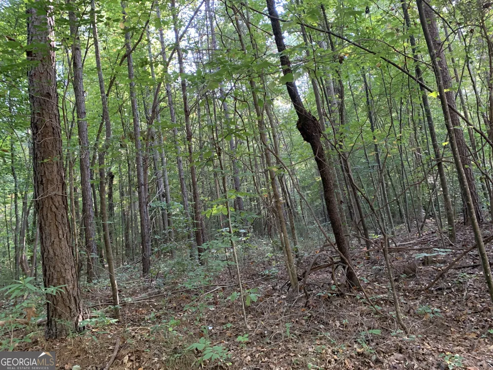 5.10 ACRES Hwy 123 Toccoa, GA 30577
