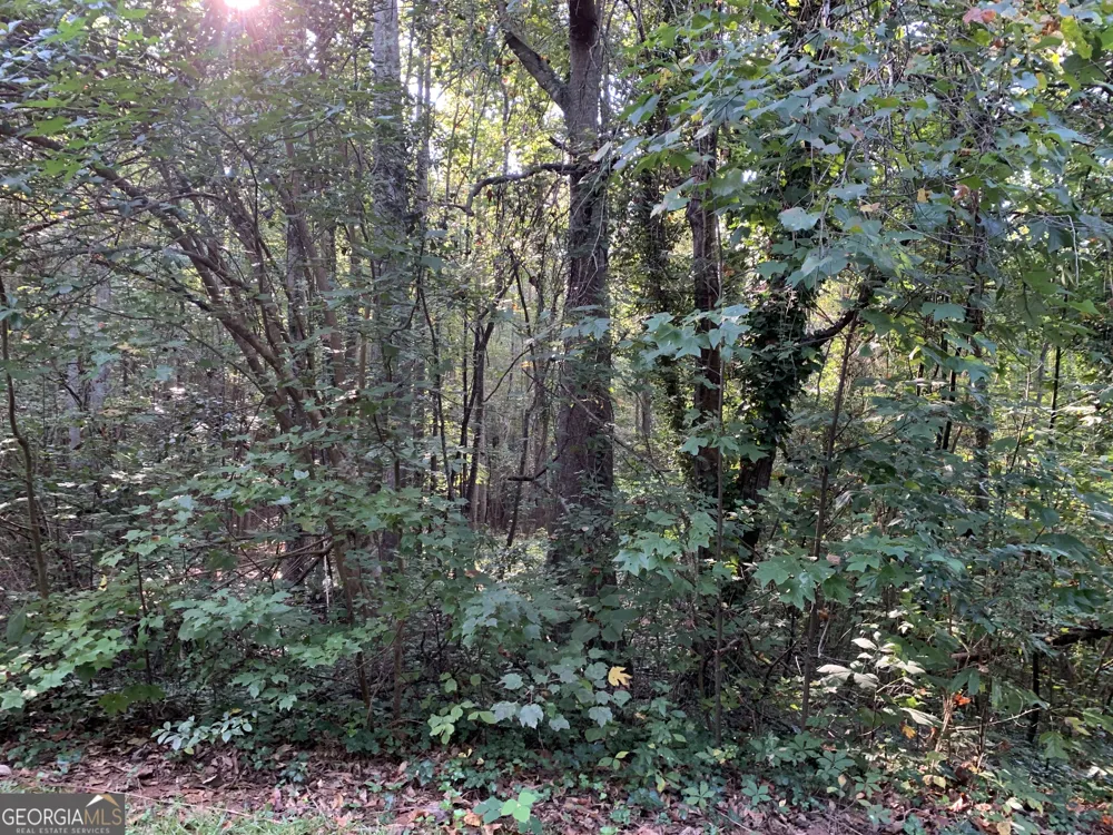 5.10 ACRES Hwy 123 Toccoa, GA 30577
