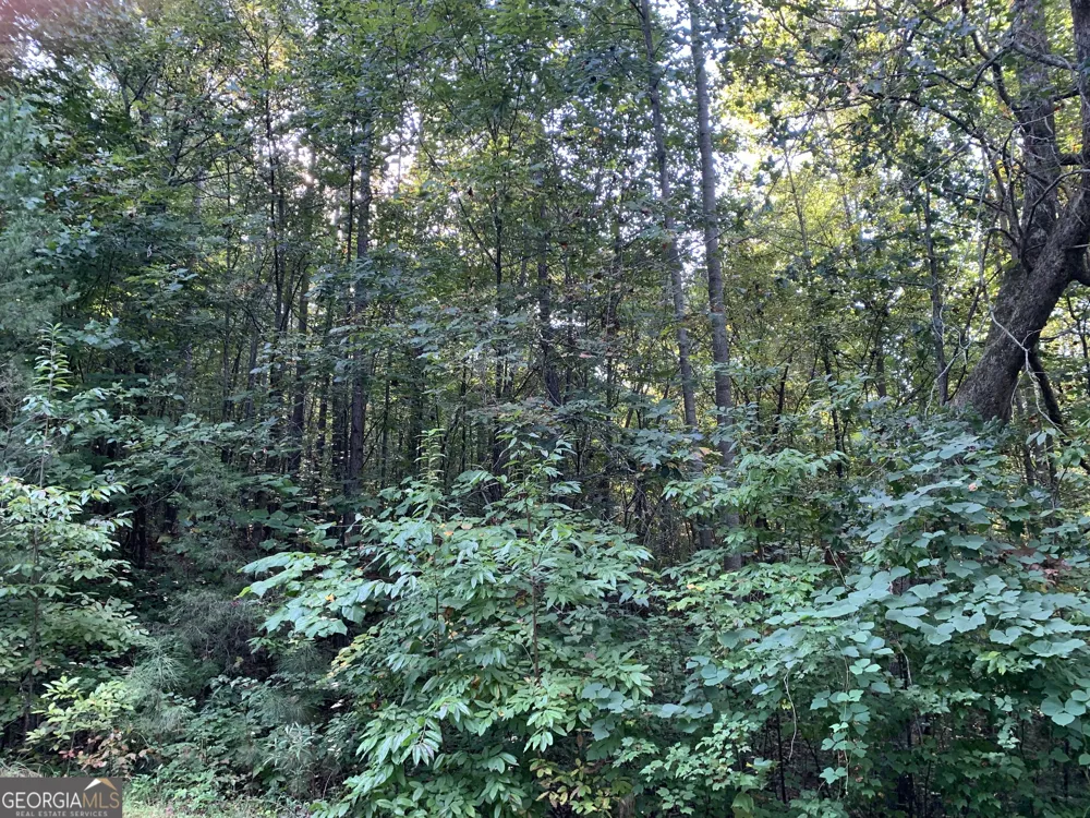 5.10 ACRES Hwy 123 Toccoa, GA 30577