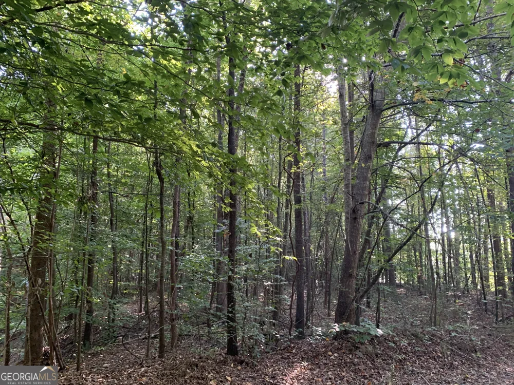 5.10 ACRES Hwy 123 Toccoa, GA 30577