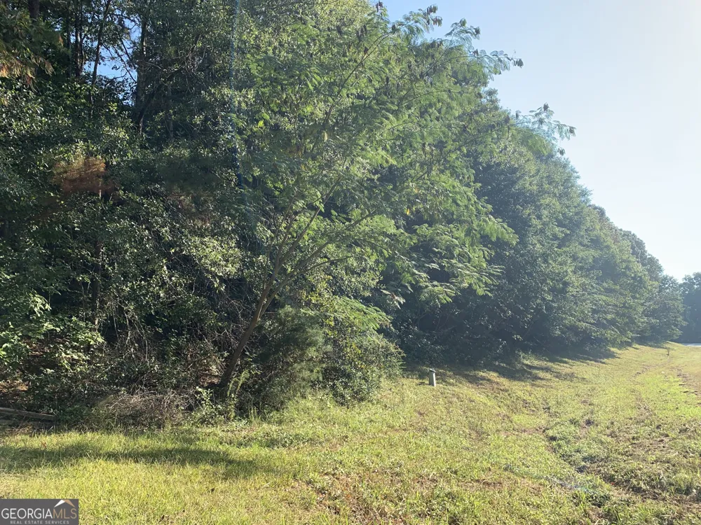 5.10 ACRES Hwy 123 Toccoa, GA 30577