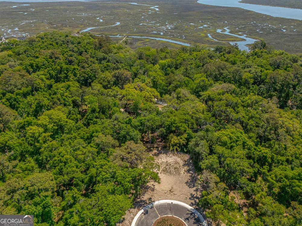 117 Canopy LN St. Simons, GA 31522