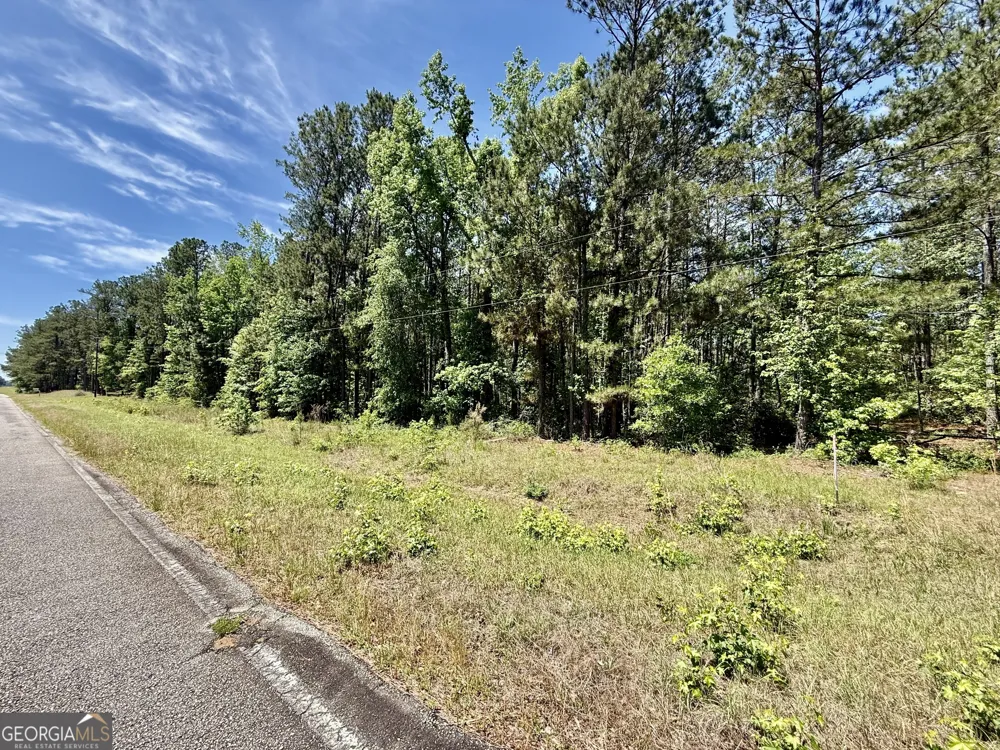 1983 Minton Chapel RD Bartow, GA 30413