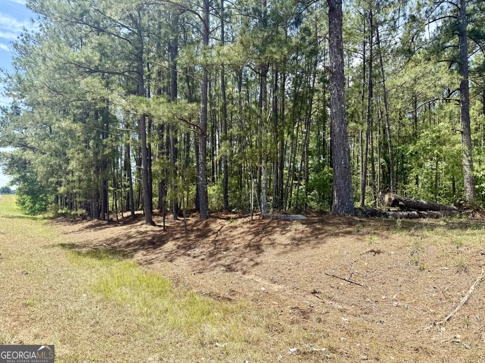 1983 Minton Chapel RD Bartow, GA 30413