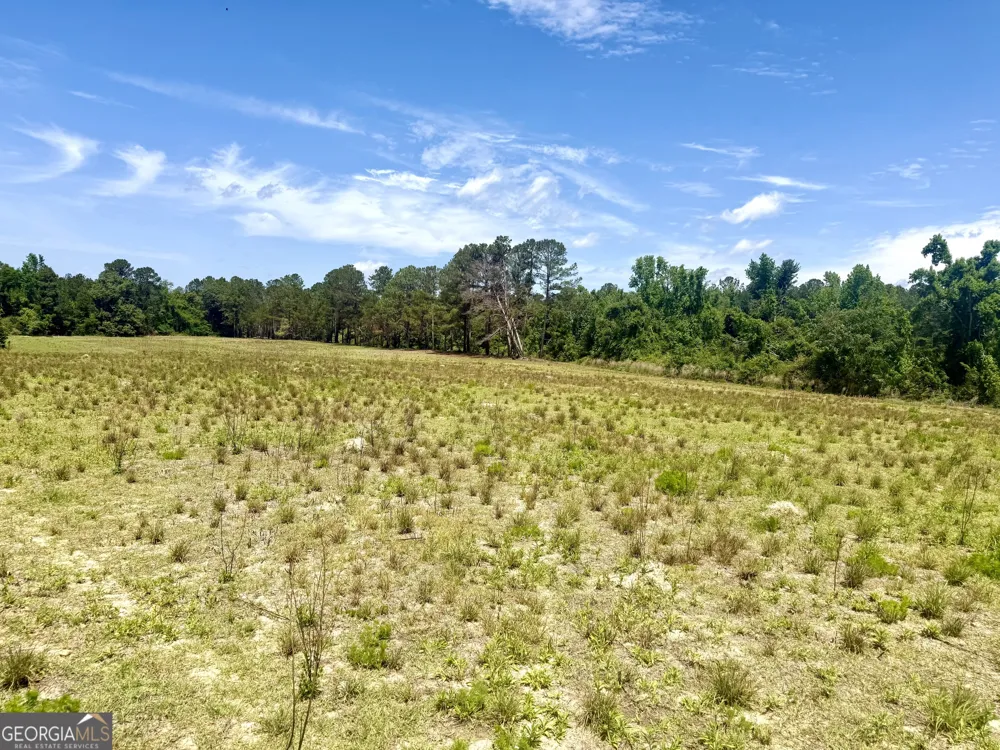 1983 Minton Chapel RD Bartow, GA 30413