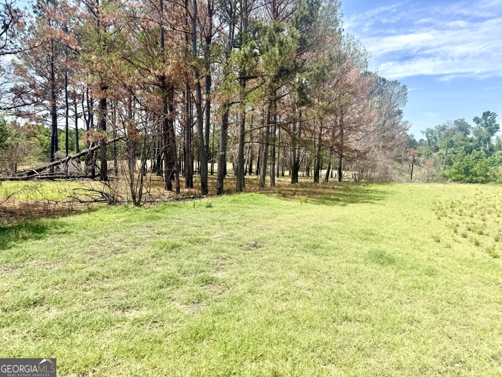 1983 Minton Chapel RD Bartow, GA 30413