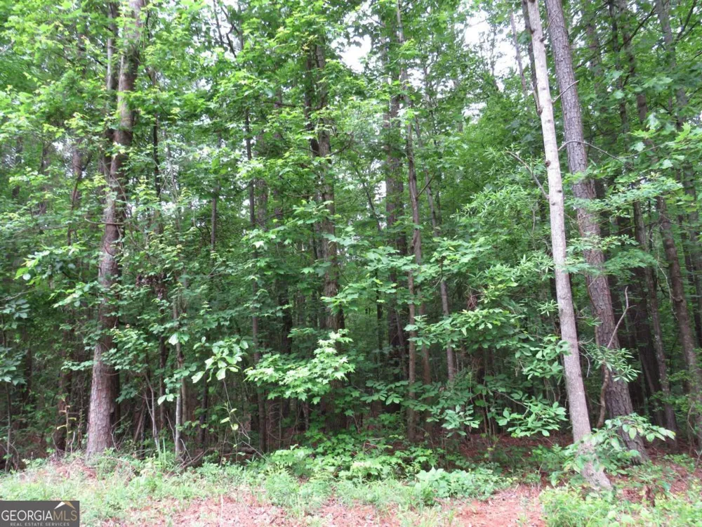 0 Doke Cohran RD Dallas, GA 30157