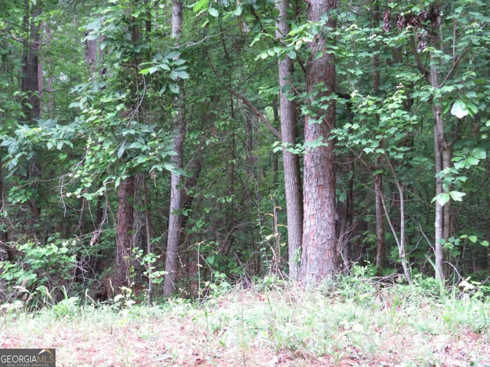0 Doke Cohran RD Dallas, GA 30157
