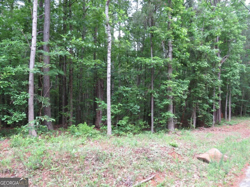 0 Doke Cohran RD Dallas, GA 30157
