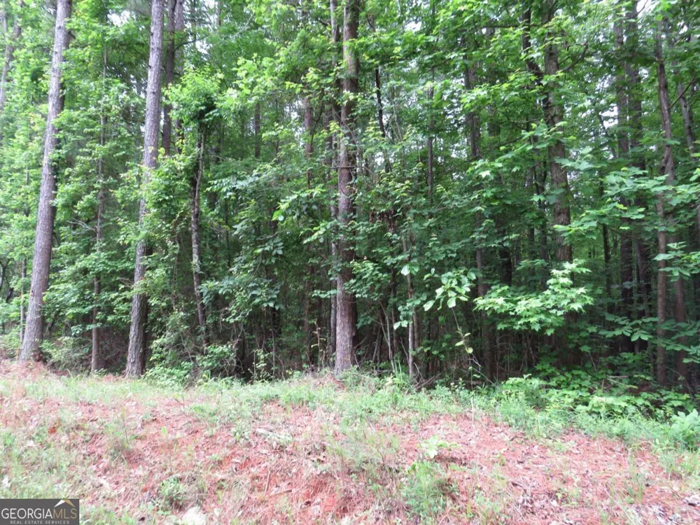 0 Doke Cohran RD Dallas, GA 30157