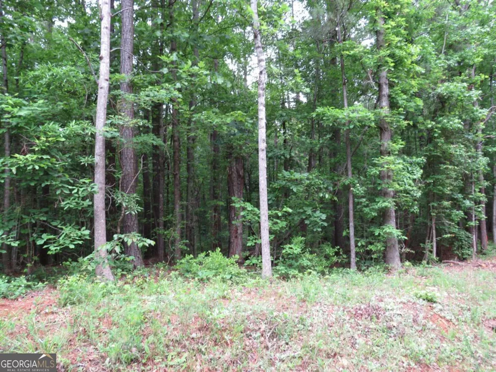 0 Doke Cohran RD Dallas, GA 30157