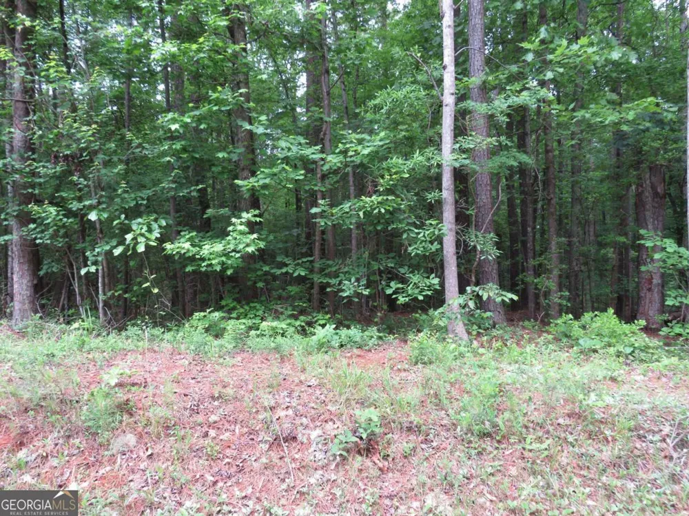 0 Doke Cohran RD Dallas, GA 30157