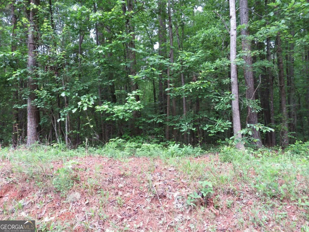 0 Doke Cohran RD Dallas, GA 30157