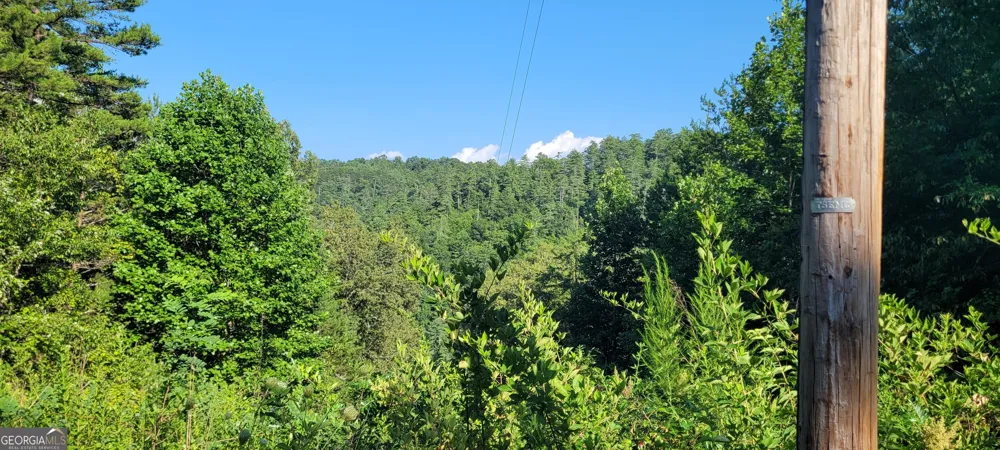 371 Wilderness Lake DR Murphy, NC 28906
