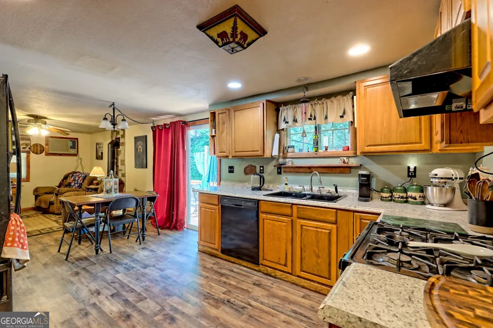 371 Wilderness Lake DR Murphy, NC 28906