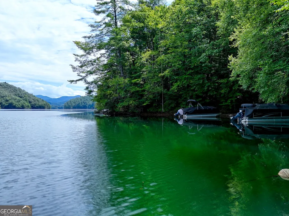 371 Wilderness Lake DR Murphy, NC 28906
