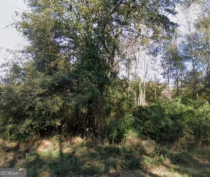 0 Harris RD Ellerslie, GA 31807
