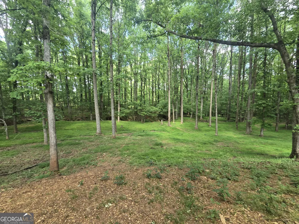 115 Rock Quarry DR Danielsville, GA 30633